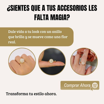 Anillo Giratorio