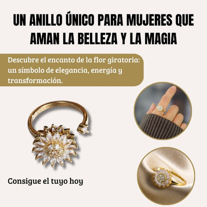 Anillo Giratorio